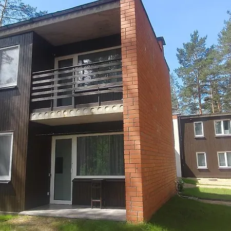 Pine Forest House 8